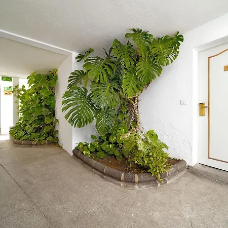Lejlighedshotel Rio Piedras